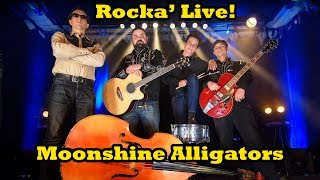 Moonshine Alligators - (cover band)