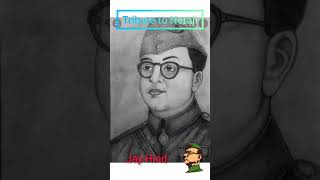 Subhash Chandra Bos ka chitra . Netaji Subhash Chandra Bose drawing.