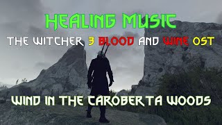 Healing Music The Witcher 3 Blood and Wine OST: Wind In The Caroberta Woods / 위쳐 3 블러드 앤 와인 OST