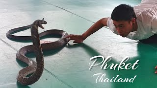 🇹🇭 Thailand Phuket. Zoo Snake Show. Тайланд Пхукет. Шоу Змей. بوكيت. تايلاند  بوكيت