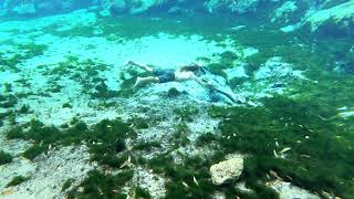 The "Chaz" Cavern Diving at 7 Sisters Springs