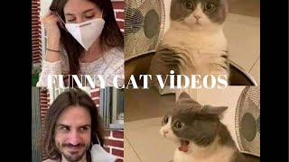 Funny cat videos 2022 , funny cats , funny cats compilation,funny cat videos