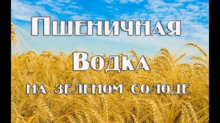 Пшеничная водка (самогон из пшеницы): рецепт браги, перегонка, очистка