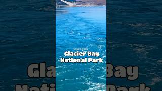 Glacier Bay National Park #shorts #alaska #alaskacruise #travel #alaskaadventure #nature #amazing