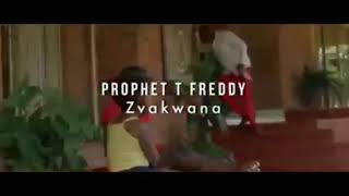 Best Video by Prophet T Freddy ZVAKWANA