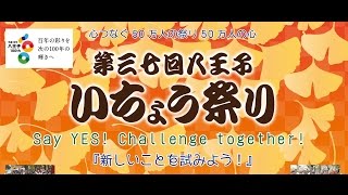 第37回 八王子いちょう祭りA会場