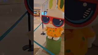 Cool rabbit 🐰🐇 🕶️