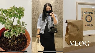 new office plant 🪴, glyph coffee, w39 cafe, desem bakery . singapore vlog