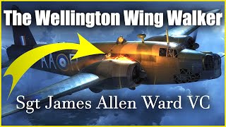 The Wellington Wing Walker - Sergeant James Allen Ward VC