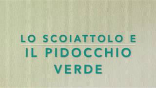 Lo scoiattolo e il pidocchio verde, tratto da "Lettere dello scoiattolo alla formica"