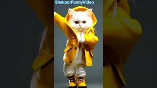 safed cat funny dance 😁 dam dam diga 😂 #cat #dancingcat #catvideos #youtubeshorts