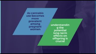 Exposure to Marijuana in the Womb May Increase Risk of Opioid Addiction Later in Life