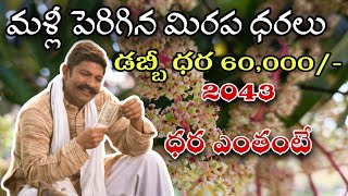 వేగంగా పెరిగిన డబ్బీ మిరప ధరలు //2043 ధర ఎంతంటే//Chilli prices increased#nelathallivlogs  #2043