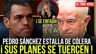 🔴PEDRO SÁNCHEZ EXPLOTA DE CÓLERA AL SABER QUE SALEN A LA LUZ TANTAS VERDADES, PEINADO LO ATROPELLA