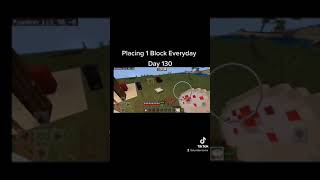 Placing 1 Block Everyday in Minecraft Day 130