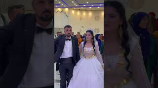 Gelin damat 👏🕺#gelindamat