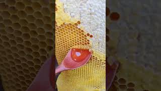 Honey you reginal#shorts video#honey