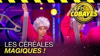 Les céréales magiques - Défis Cobayes - France 4