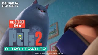 The Secret life of Pets 2: Clip + Trailer