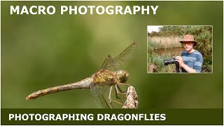 Macro photography photographing dragonflies