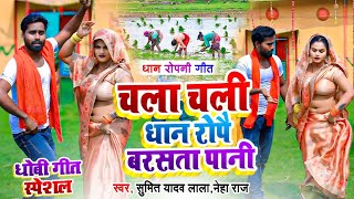 #Video || धान रोपनी गीत ||#Sumit Y Lala,#Neha Raj || चला चली धान रोपै |Bhojpuri Video#Dhobi Geet2024