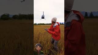 RC  helicopter#helicopter#drone#flying #shortfeed#viralshort#trendingshorts #greenscreen#shortfeed