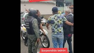 Un abuelo fue sorprendido robando compotas en Táchira