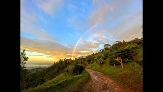 how i started touring in the blue mountains