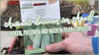 🌱Aussaat / Vorzucht im April 🥒🍉 Gurken, Melonen und noch ein paar Tomaten 🍅