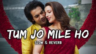 Tum Jo Mile Ho (Slow & Reverb) | Vicky Vidya Ka Woh Wala Video | Vishal Mishra | Music Suno