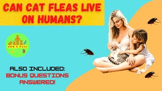 Can Cat fleas live on humans? | Can cat fleas live on dogs? | Are cat bites dangerous?