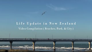 Life Update in New Zealand 🇳🇿 | Virtual Diary | Beach | Park | City