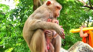 Moka's Baby Performs Great Actions Inside Mother's Arms