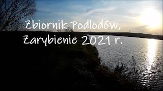 Zbiornik Podlodów , Zarybienie 2021 r.