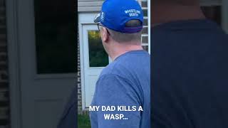 Dad kills a wasp…