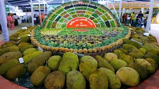 National Fruit Show 2019, Fruit Fair in BD