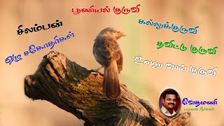 #சிலம்பன்|#தவிட்டுக்குருவி|#yellow billed #babbler|#ஏழு_சகோதரிகள்| #கல்லுக்குருவி|#சிறகுகளின்_ஓசை_12