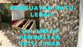 mencoba membuat ratu lebah mati