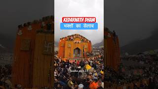 Kedarnath 2024 darshan !भक्तों आ उमड़ा सैलाब!sanatan prem 2.0#ytshorts #trending #kedarnath #shiv