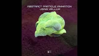 Abstract Particle Animation Using Vellum