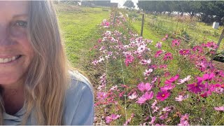 Aussie Flower Farm Mega Tour || Grow Your Own Food to beat rising prices 🌻🥬🥕🥦🍅