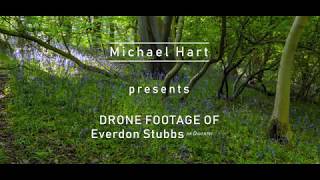 DJI Mavic Air Footage in the trees