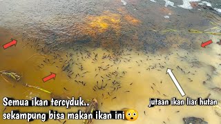 pencari ikan paling beruntung di dunia! sekali serok, cukup untuk makan sekampung