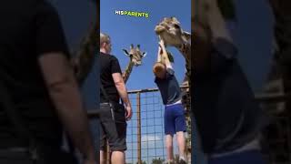 Boy tries to feed a giraffe 🤯