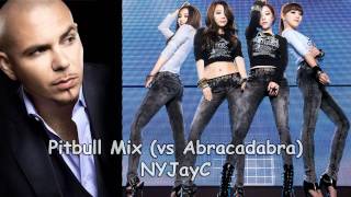 Pitbull Mix (vs BEG - Abracadabra)