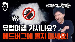 유럽여행에서 🚨베드버그🚨 물렸다고 쫄지 마세요! (실제 물린 사람의 생생 증언)