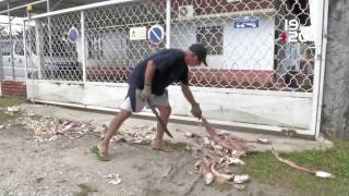 guyane_journal_tv_2017_consulat_bresil_poissons