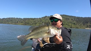 Hobie Compass Kayaking for BIG Stock Trouts and Bass!