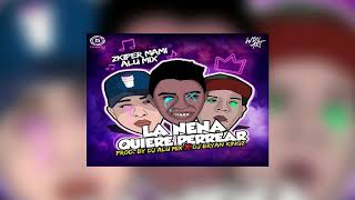 LA NENA QUIERE PERREAR//ZKIPER MAMI FT ALU MIX BRYAN KINGZ PERREO 2017 (CERDEO)