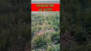 Колдовство не берёт